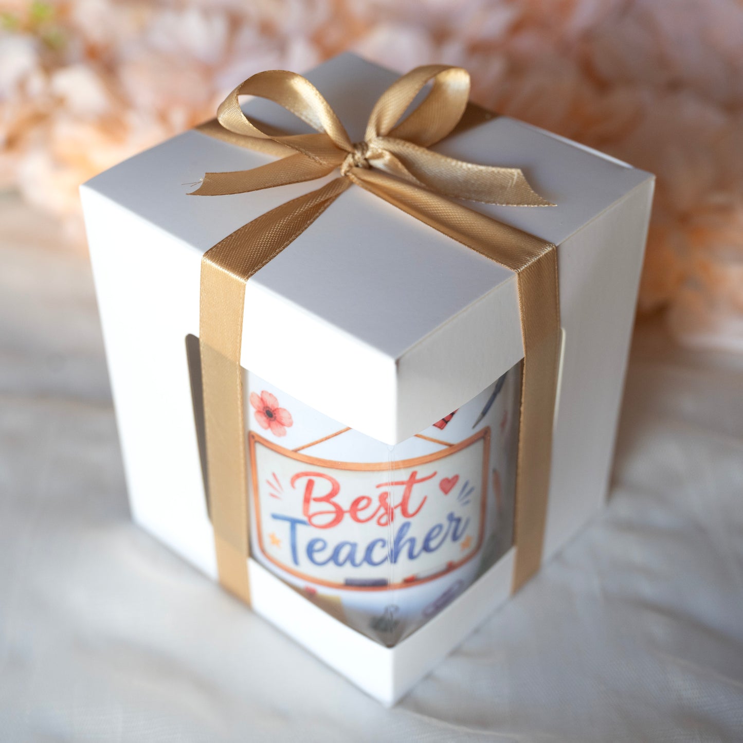 Best Teacher Mug | Gift Box Included